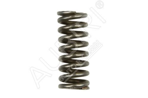 Synchronizer spring Iveco EuroCargo