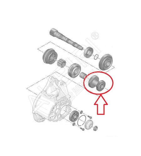 3/4th gear wheel Citroën Berlingo, Partner since 2008, 31x40/41x39 teeth