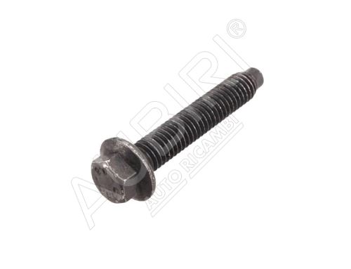 Screw M6x100 mm LG35 Fiat Doblo, Scudo since 2022