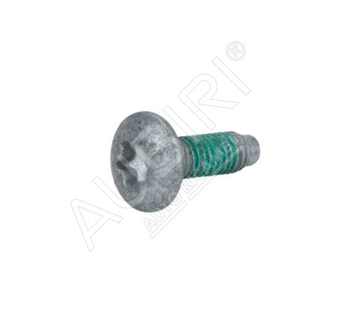 Rearview mirror screw Fiat Ducato since 2006