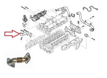 EGR valve cooler tube Iveco Daily since 2016 3.0 JTD 35C-70S
