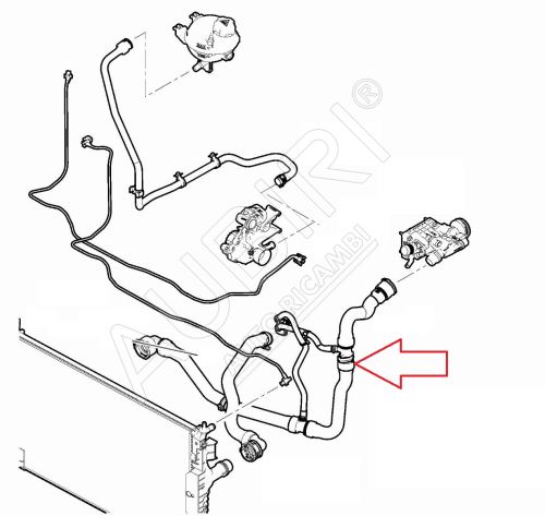 Water cooler hose Citroën Jumpy, Berlingo since 2018 1.5 BlueHDi right