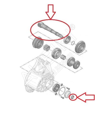 Gearbox shaft Citroën Berlingo, Partner since 2018 secondary, 17/71 teeth