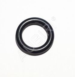 Radiator plug seal Iveco Tector