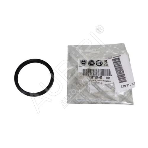 Thermostat seal Fiat Ducato 250 2.2