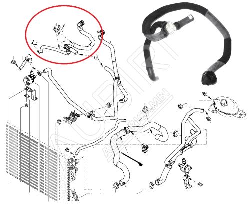 Cooling hose Renault Master since 2014 2.3 dCi