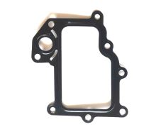 EGR valve seal Iveco Daily E5 2012