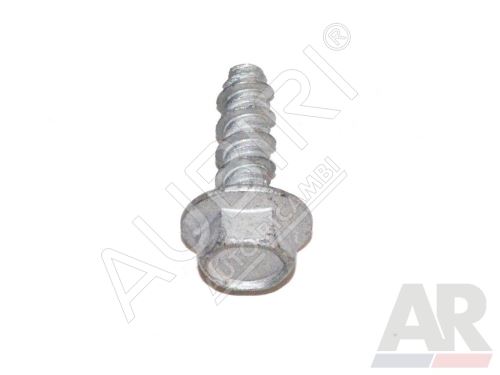 Step screw Iveco EuroCargo