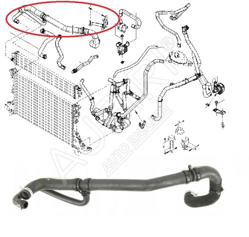 Water radiator hose Renault Master since 2010 2.3 Dci