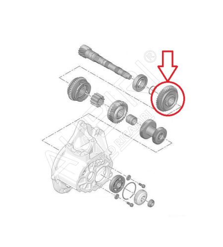 1st gear wheel Citroën Berlingo, Partner since 2008 - 38 teeth