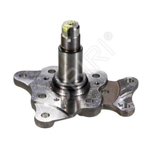 Stub axle Fiat Ducato, Jumper, Boxer since 2006 rear right