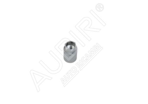 Tire pressure sensor nut Iveco Daily since 2019 33S-70C