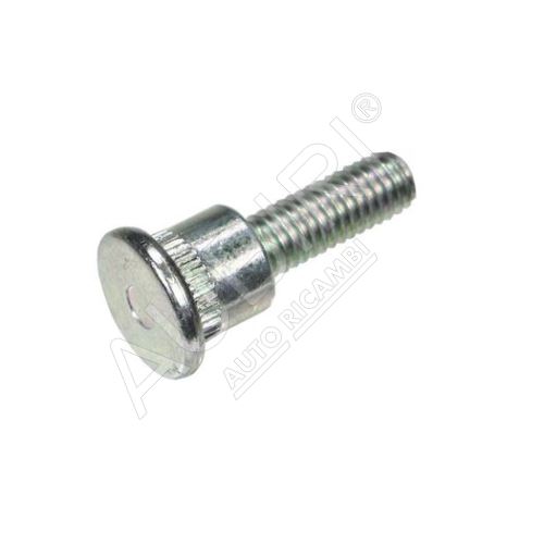 Fiat Ducato 244 front door limiter bolt