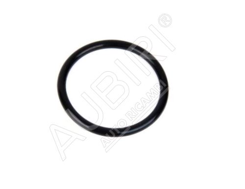 Water flange gasket Ford Transit 2006-2014 2.2/2.4/3.2 TDCi