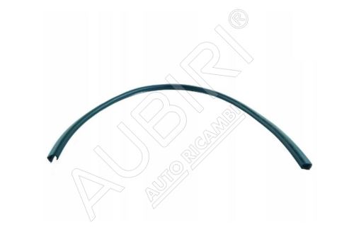 Door gasket Iveco Daily