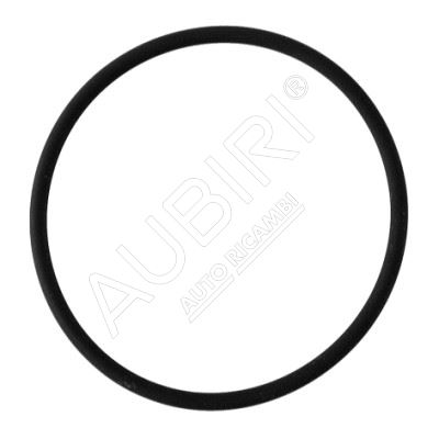 Thermostat gasket Iveco Daily