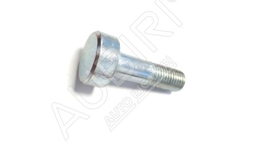 Leaf spring screw Iveco Daily 2000 center