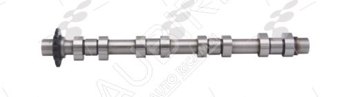 Camshaft Fiat Scudo 1995-2007 2.0 MTJ