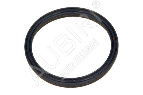 EGR valve seal Ford Transit 2000-2006 2.0/2.4 Di/TDCi