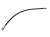 Brake hose Iveco Daily 2000-2006 65C front