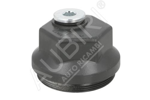 Front bearing plug Iveco EuroCargo