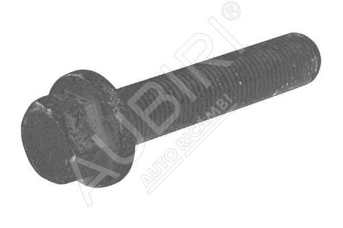 Leaf spring screw Iveco Daily since 2006 35S