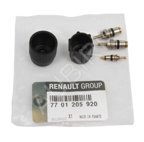 Air con valve set Renault Kangoo 1997-2008, Master 1998-2010