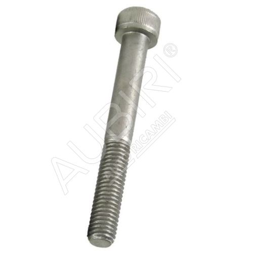 Screw M6x65mm Fiat Ducato 250