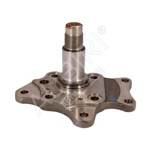 Stub axle Fiat Ducato, Jumper, Boxer 1994-2006 rear left, with ABS