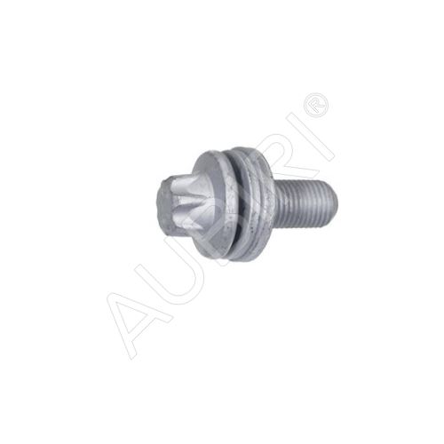 Screw Fiat Ducato 250