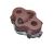 Exhaust silentblock Renault Master since 2010, Trafic, Talento, Kangoo od 2008-2013