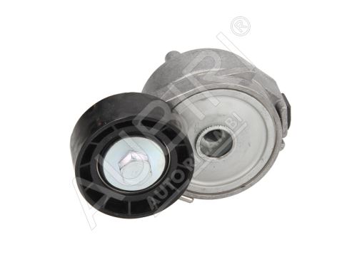 Alternator belt tensioner pulley Citroën Berlingo, Partner 1996-2018 1.1/1.4/1.6i