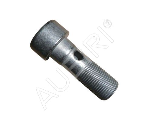 Banjo bolt, hollow srew Citroen Berlingo, Partner 2016-2018 1.2i PureTech, M12x100