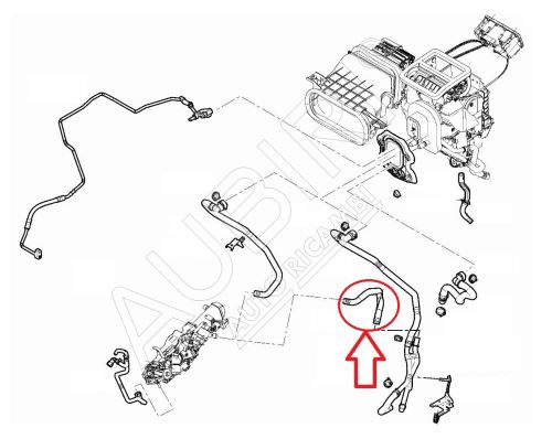 Heater hose Fiat Ducato since 2021 2.2D