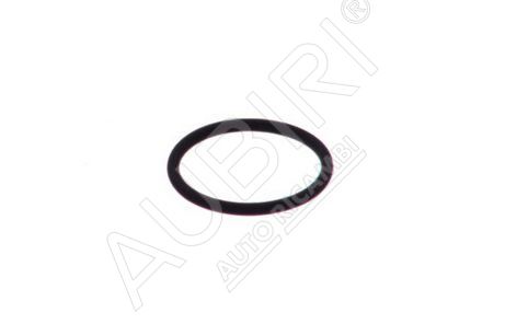 Injector Seal Iveco Daily since 2014