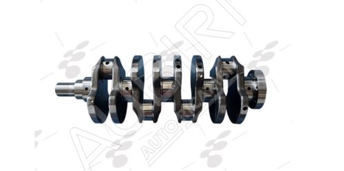 Crankshaft Fiat Doblo 2000-2010 1.3