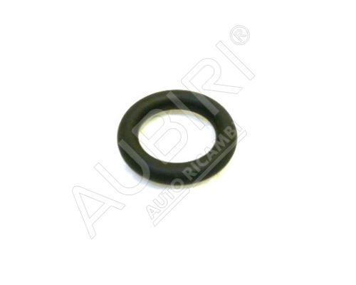 EGR valve seal Iveco Daily 3.0 euro4 O-ring