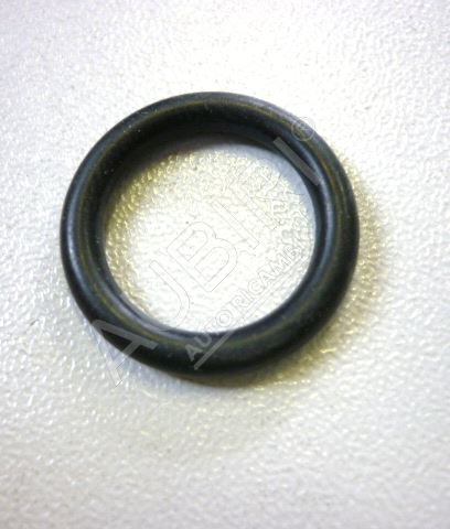 Flange o-ring Iveco EuroCargo Tector - for High pressure fuel pump