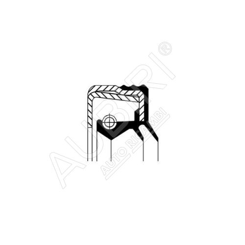 Differential shaft seal Iveco Trakker, EuroCargo 80x120x15 mm