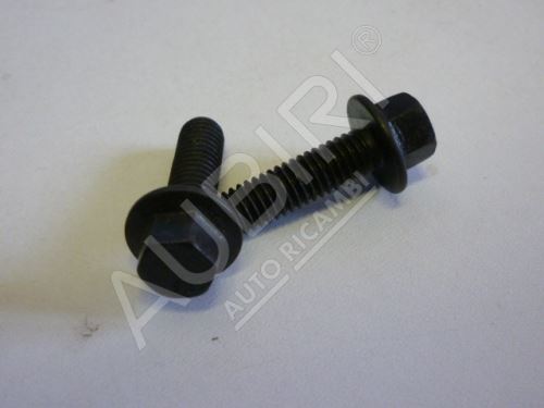 Turbo oil drain bolt, Iveco EuroCargo Tector 75E17