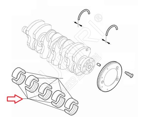 Main crank bearing Fiat Ducato since 2021 2.2D 1.832-1.836 lower, red