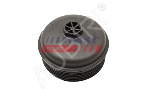 Oil filter cover Renault Kangoo 2013-2021 1.2 TCe, since 2021 1.3 TCe