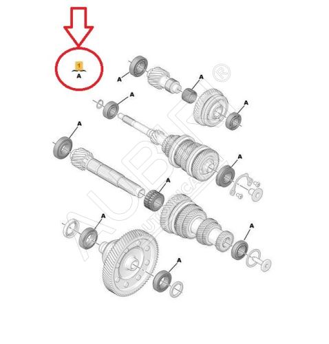 MC gearbox bearing repair kit Citroën Jumpy, Expert since 2016