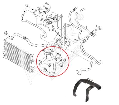 Water radiator hose Renault Master 2003 - 2010 2.5 dCi