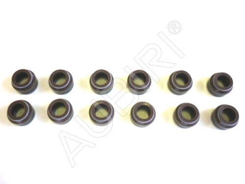 Valve stem seal Iveco EuroCargo engine 8060