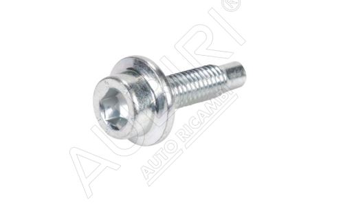 Front door hinge screw Fiat Ducato since 2006