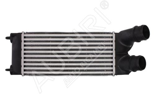 Intercooler Citroën Berlingo, Partner 2008-2011 1.6 HDi