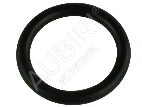 Water pipe gasket Iveco Daily since 2000 2.3D