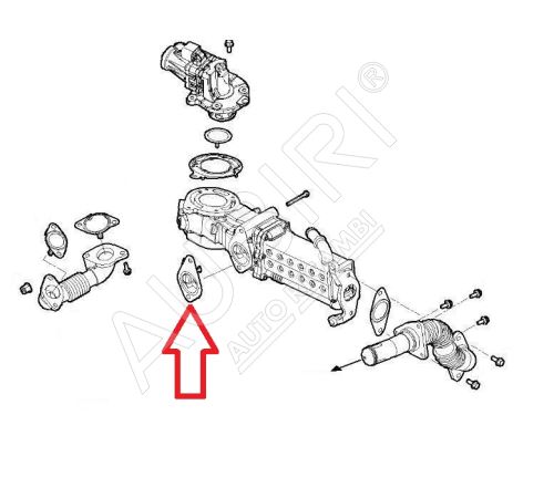 EGR cooler gasket Iveco Daily since 2022 2.3D