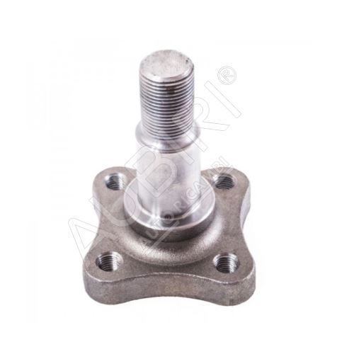Stub axle Renault Kangoo 2008-2021 rear, left/right